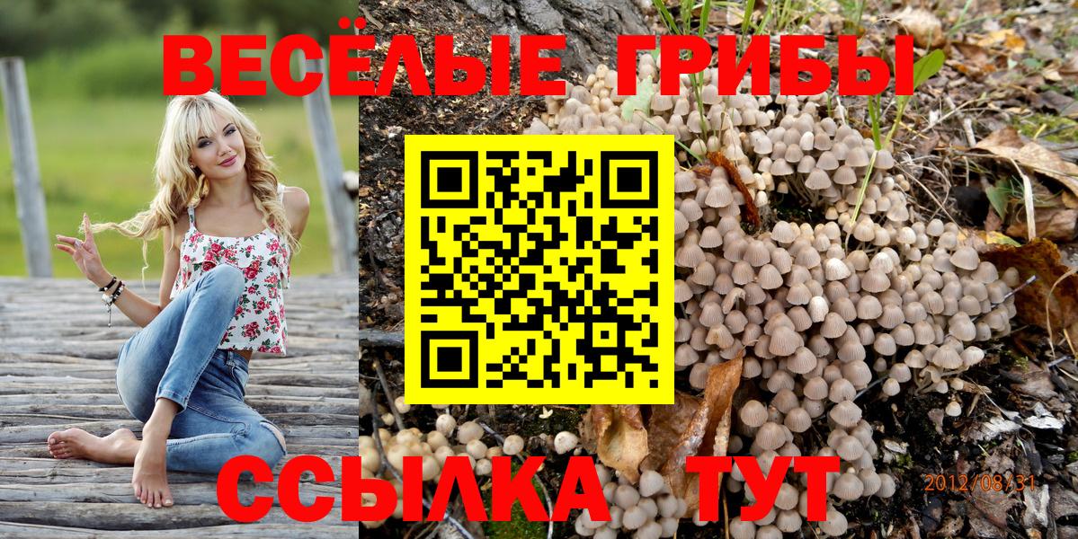 Псилоцибиновые грибы Psilocybe  Вход с VPN  Галлюциногенные грибы Psilocybe  Азов 